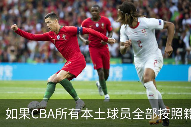 如果CBA所有本土球员全部按照籍贯出战，哪支球队会是TOP1